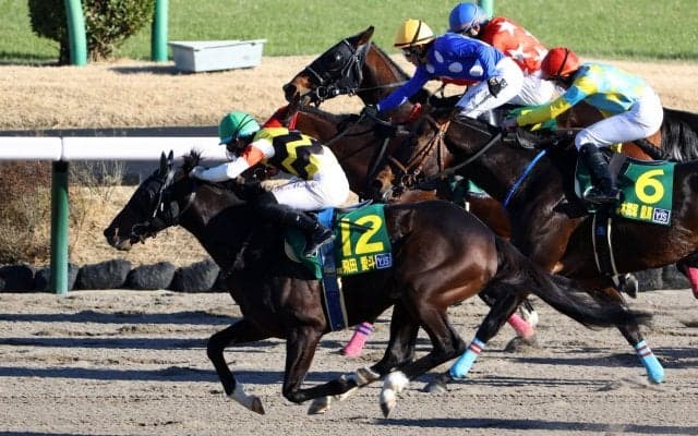 【ヤングJSFR中山2】YJSは飛田愛斗が差し切って優勝