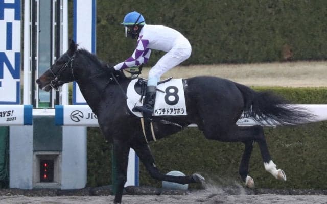 【新馬/阪神6R】イスラボニータ産駒 ペプチドアケボシがデビューV