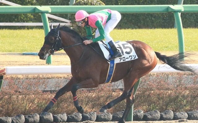 【新馬/中山6R】コパノリッキー産駒 アローワンが大差圧勝