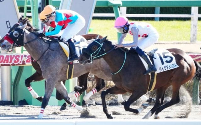 【新馬/中山5R】伏兵ライヴアメシストがデビューVで波乱