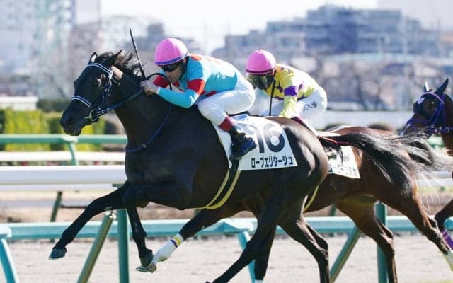 【新馬/中山6R】良血ローブエリタージュがデビューV