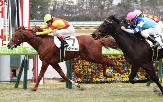 【新馬/阪神5R】ドゥラメンテ産駒 ジャスティンカツミがデビューV