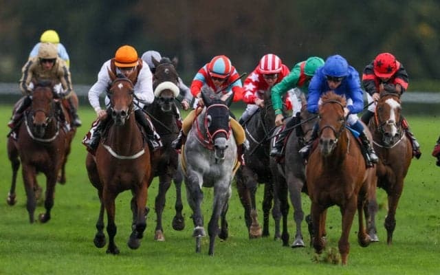 【京都金杯登録馬】エントシャイデンなど29頭