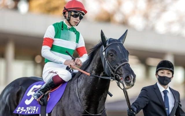 【ホープフルS】売上は149億4964万9100円で昨年からおよそ69.1億円の増加