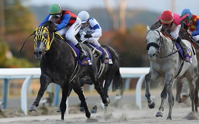 【東京大賞典 注目馬】地方馬初のJBCクラシックを制したプライドをかけてJRA勢を再び撃破へ