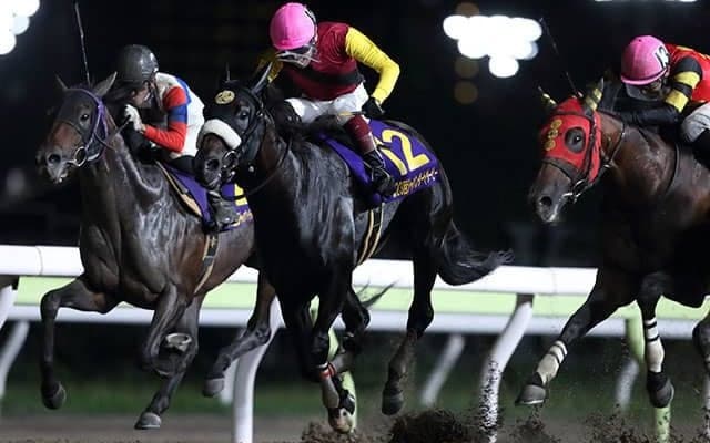 【東京大賞典 注目馬】展開のカギを握るキーホース ノーマークの逃走劇で大波乱の再現を狙う