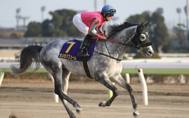 【東京大賞典 13時時点オッズ】オメガパフュームが単勝1.8倍の1番人気、ミューチャリーが5.5倍で続く