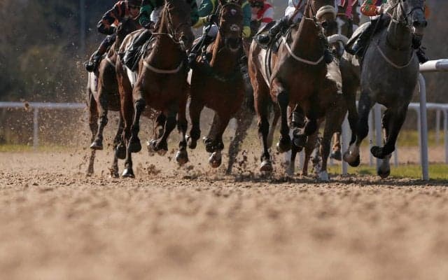 【東京大賞典／馬単2点勝負】4連覇に挑むオメガパフュームに一抹の不安　“伏兵”込みの高配当狙い