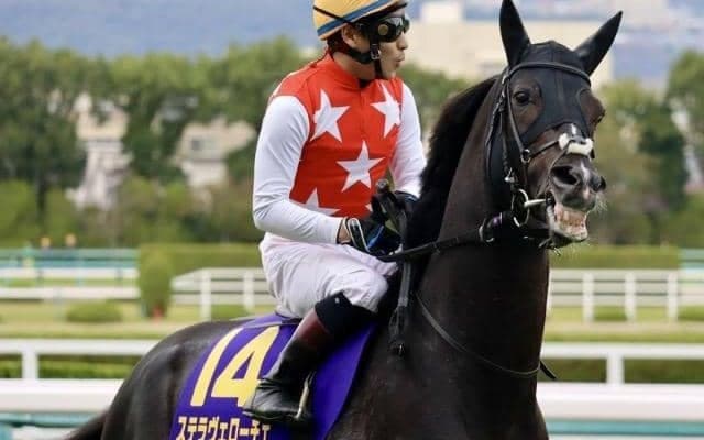 【中山金杯ハンデ確定】ステラヴェローチェは57.0kg、ヒートオンビートは56.0kg