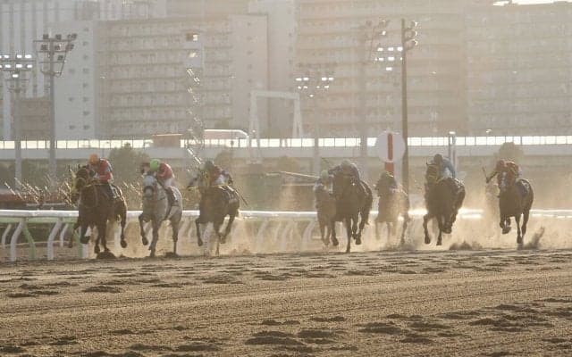 【東京大賞典】Mデムーロ「直線長かった」レース後ジョッキーコメント