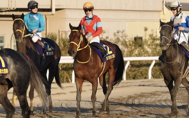 【東京大賞典】川田「本当に頑張ってくれた」クリンチャーは惜しい2着