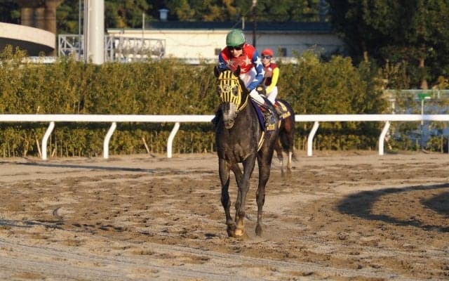 【東京大賞典】御神本「悔しいけど受け止める」ミューチャリーは粘れず4着