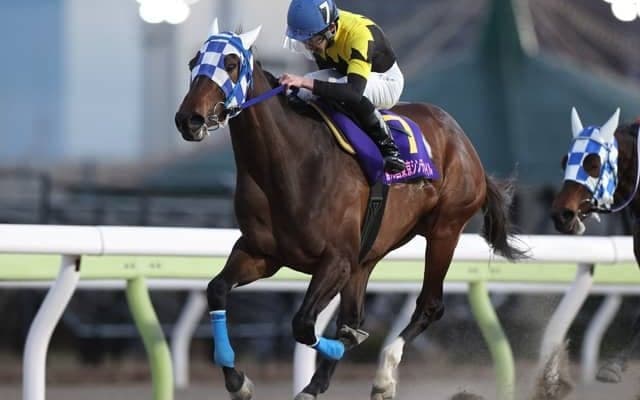 【大井・東京シンデレラマイル結果】ダノンレジーナが2番手から押し切り連覇達成