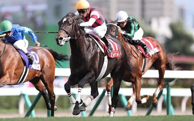 【中山金杯予想】AIが指名したのは人気薄の中山巧者？ 新年一発目「中山金杯」は穴馬を狙え！