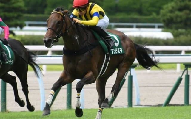 【京都金杯見どころ】アンドラステ、惜敗続きにピリオドなるか