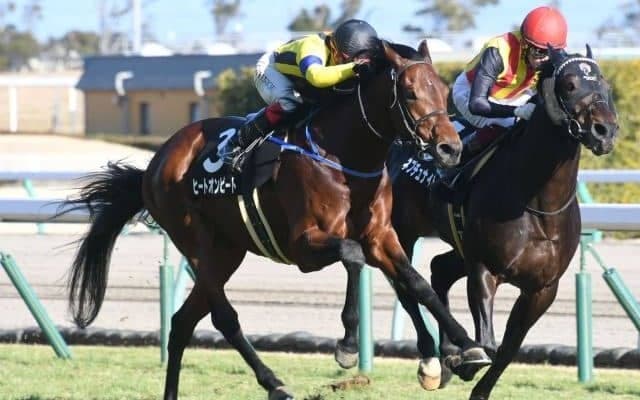 【中山金杯見どころ】ヒートオンビートが横山武史騎手とのコンビで重賞制覇に挑む