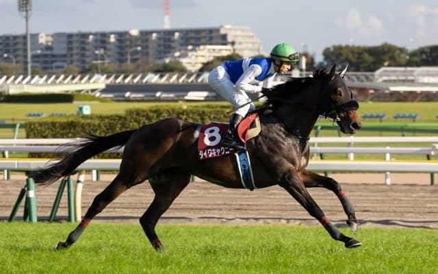 【京都金杯展望】波乱傾向にある西の開幕重賞、あの馬の大駆けを期待したい