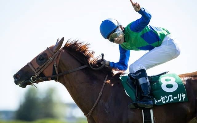 【中山金杯出走馬・騎手確定】ヒートオンビート＆横山武史騎手、トーセンスーリヤ＆横山和生騎手など17頭