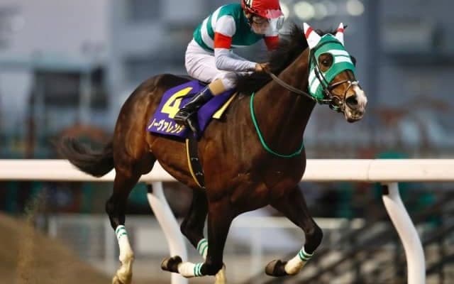 【川崎・報知オールスターC結果】ノーヴァレンダが悠々逃げ切り久々の重賞V