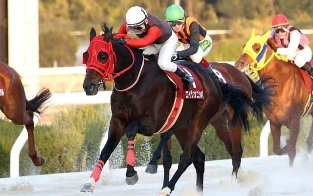 【園田・新春賞結果】エイシンニシパが人気に応えて4連覇！