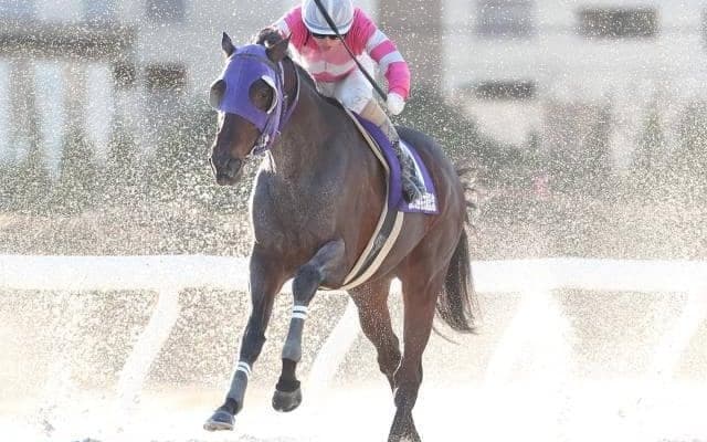 【名古屋記念結果】ナムラマホーホがエイシンエンジョイとの一騎打ちをハナ差制して重賞4勝目