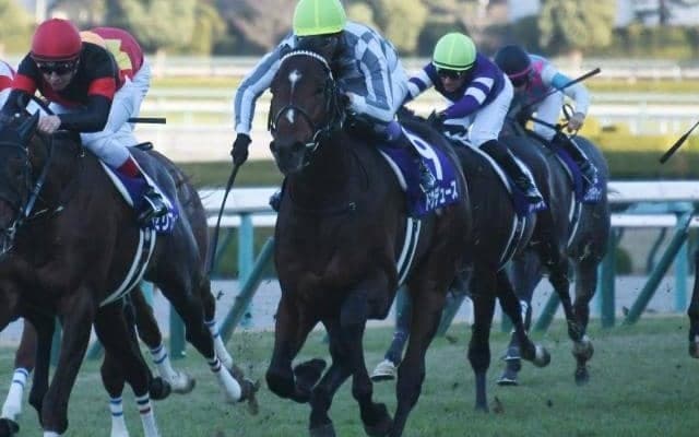 【競馬ファンが選ぶ最優秀2歳牡馬】無傷3連勝の朝日杯FS覇者ドウデュースがトップ/netkeiba大賞 中間発表