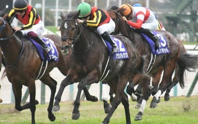 【競馬ファンが選ぶ最優秀4歳以上牝馬】GI・6勝のグランアレグリアがトップも他2頭と接戦/netkeiba大賞 中間発表