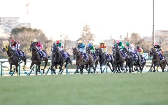 【中山金杯予想】Cコース開幕日は前が簡単には止まらない…？/万哲の馬場予報