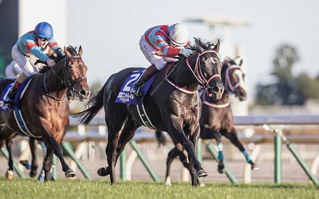 【競馬ファンが選ぶ2021年ベストレース】ジャパンカップ「コントレイル、三冠馬有終の美」が首位に/netkeiba大賞 中間発表