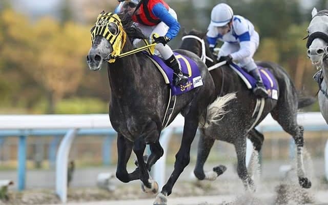 【競馬ファンが選ぶ最優秀地方馬】JBCクラシック覇者ミューチャリーとJpnI・2勝のカジノフォンテンが接戦！/netkeiba大賞 中間発表