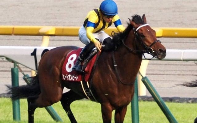 【中山金杯】横山武 ヒートオンビートは2枠4番