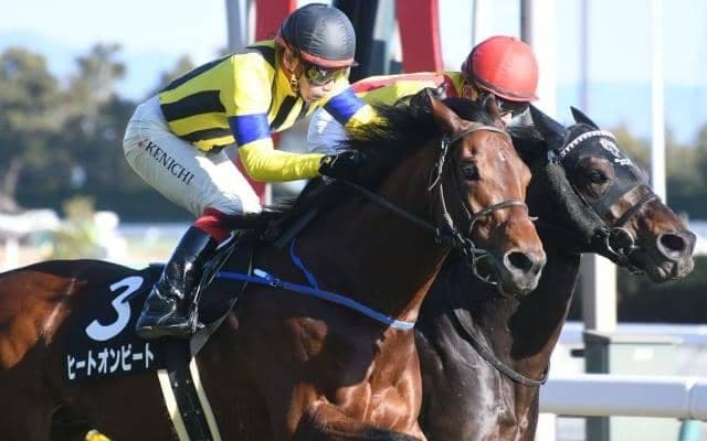 【本日の注目ポイント】2022年の中央競馬が開幕 メインは東西の金杯