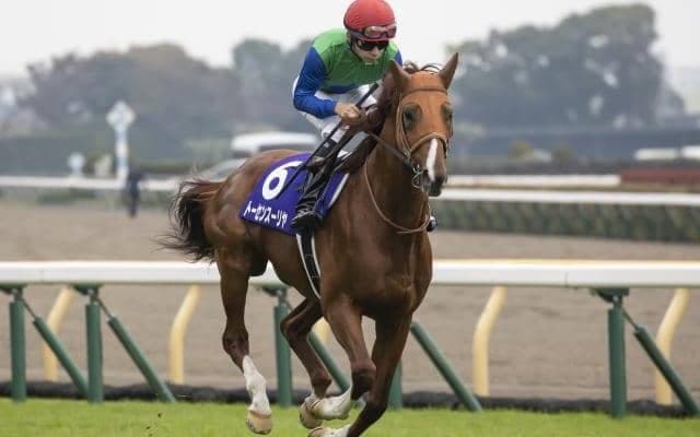 【中山金杯予想】器用さが求められるコーナー4つの2000mハンデ戦