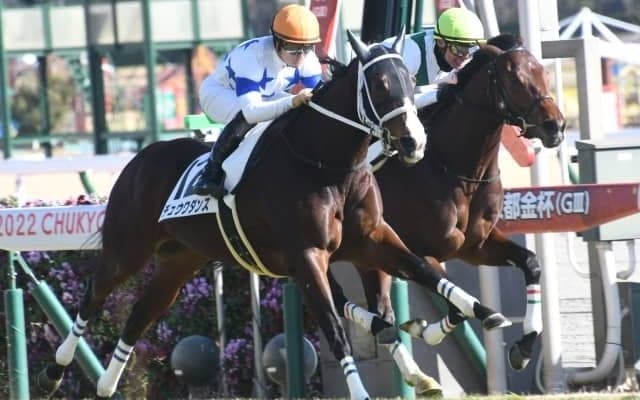 【中京5R新馬戦結果】川田将雅騎手騎乗チュウワダンスが人気に応えて初陣V