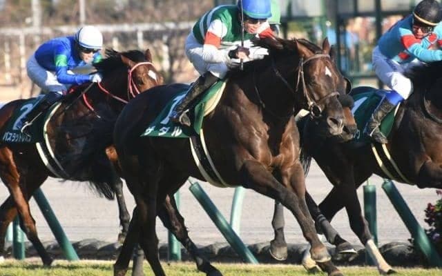 【京都金杯結果】7番人気ザダルが間を割って差し切り重賞2勝目、11番人気ダイワキャグニーが2着で波乱
