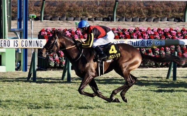 【ジュニアC】インダストリアが楽々突き抜ける