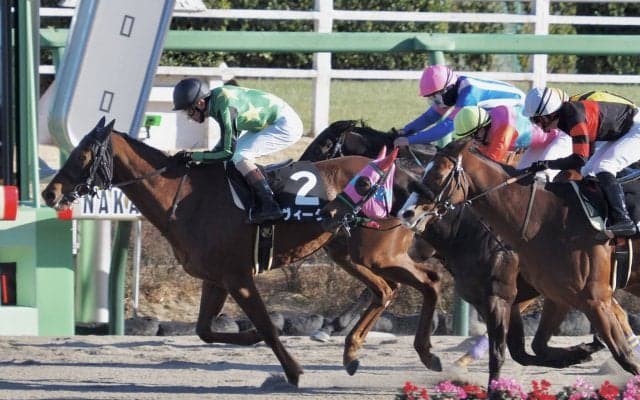 【招福S】ヴィーダが抜け出す