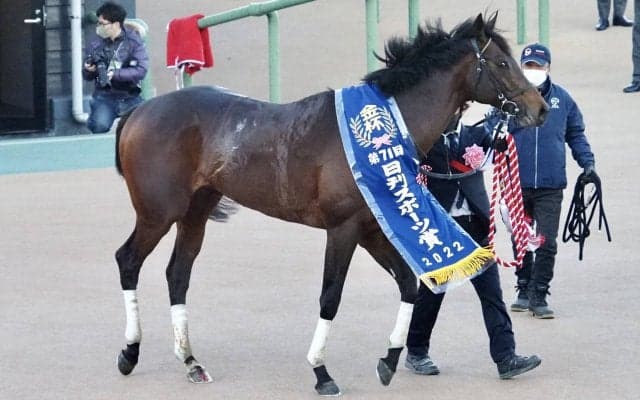 2022年最初のWIN5は190万円超え