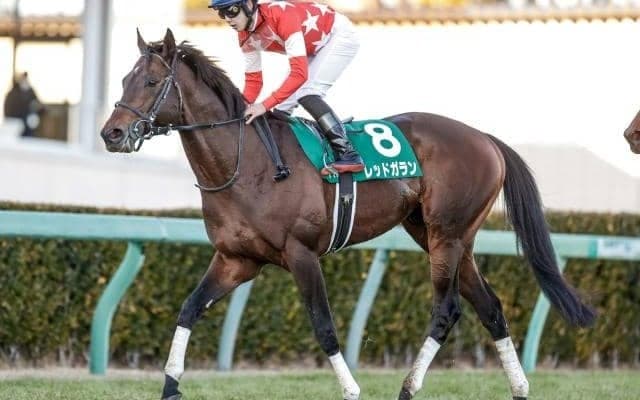 【中山金杯】売上は70億2671万9800円で昨年からおよそ1.7億円の減少