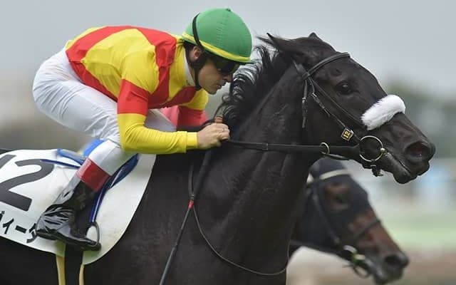 【フェアリーS見どころ】エリカヴィータのデビュー2連勝なるか