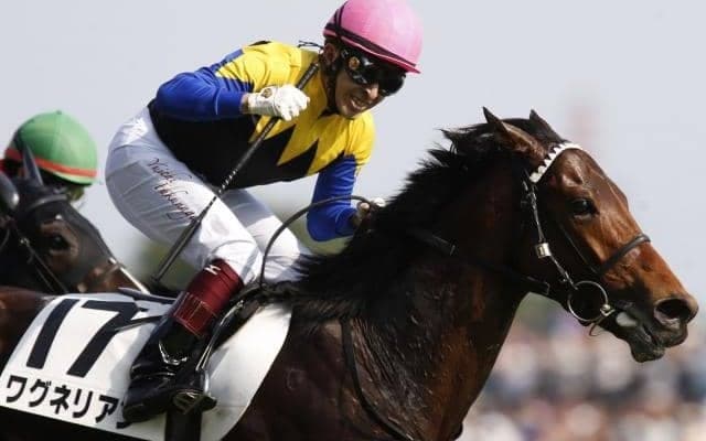 ワグネリアンが多臓器不全により死亡　2018年日本ダービーを福永騎手でV