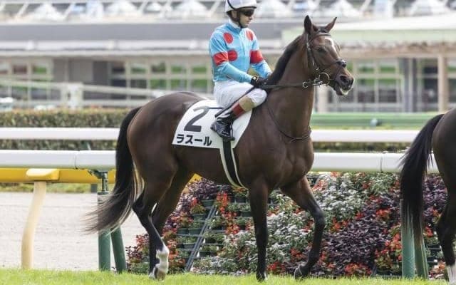【シンザン記念出走馬・騎手確定】ラスール＆ルメール騎手、レッドベルアーム＆川田将雅騎手など15頭