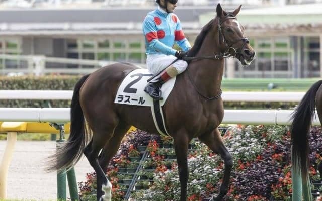 【シンザン記念予想オッズ】キタサンブラック産駒牝馬ラスールが予想1番人気