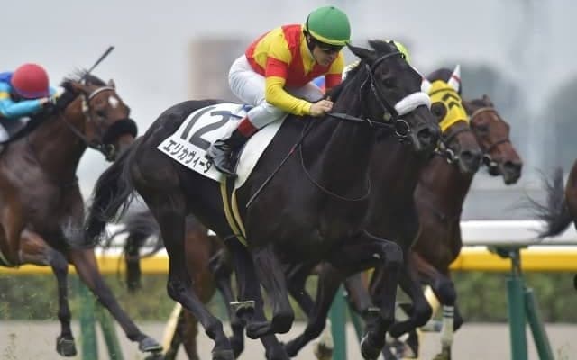 【フェアリーS予想オッズ】エリカヴィータが予想1番人気