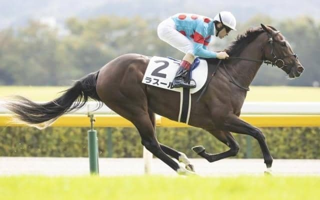 【シンザン記念枠順確定】ラスールは2枠2番、レッドベルアームは5枠9番