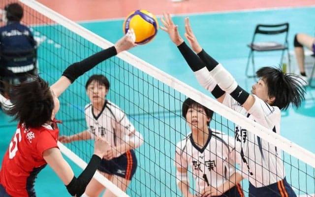 春高バレー　８強出そろう　男子・鎮西、女子・就実など