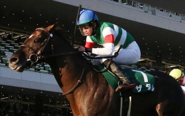 【京都金杯】松山「凄い脚だった」ザダルが重賞2勝目