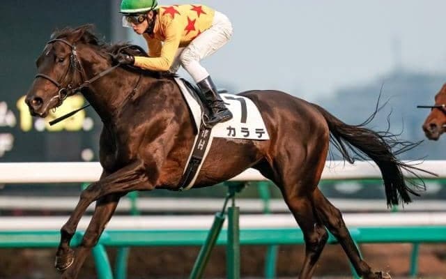 【本日の注目ポイント】3日間開催初日 メインはリステッドのニューイヤーSとすばるS