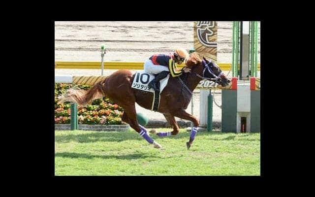 シンザン記念は「旬の牝系」のニュースター候補に期待。対抗はマイル戦に実績がある血統馬