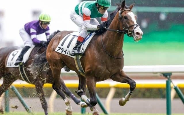 【京成杯想定】新潟2歳S2着のアライバル、桜花賞馬ジュエラーの仔ヴェールランスなど16頭